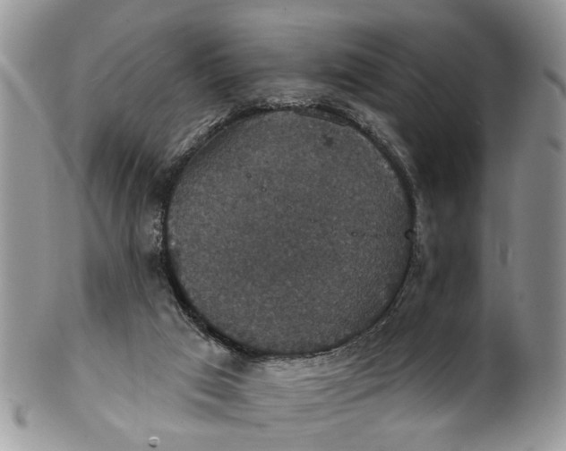 X0000101970017200808011141