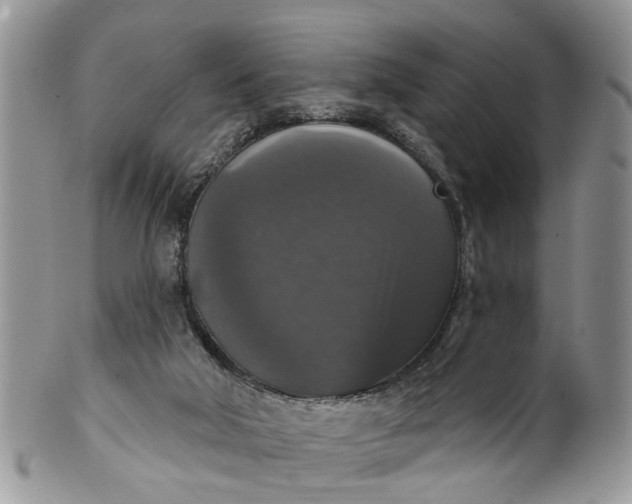 X0000101970018200808011141