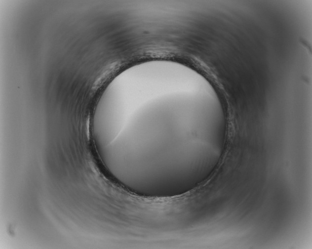 X0000101970019200808011141
