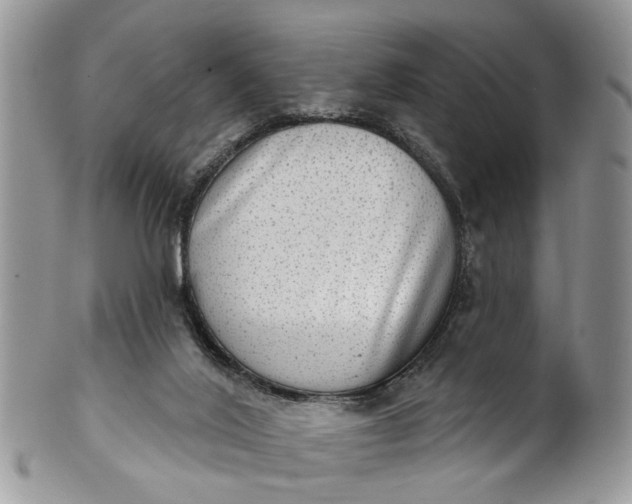 X0000101970020200808011141