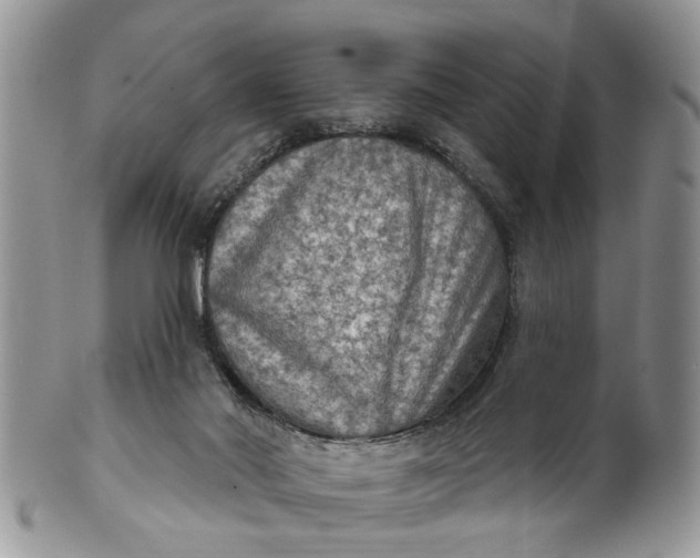 X0000101970022200808011141