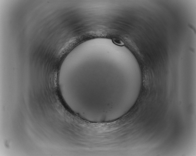 X0000101970023200808011141