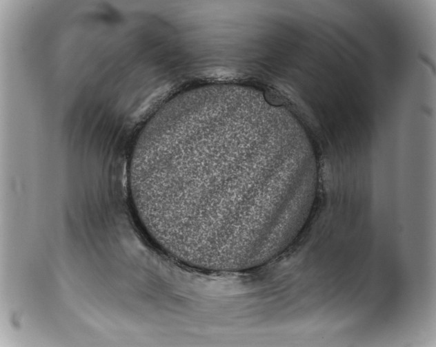 X0000101970024200808011141