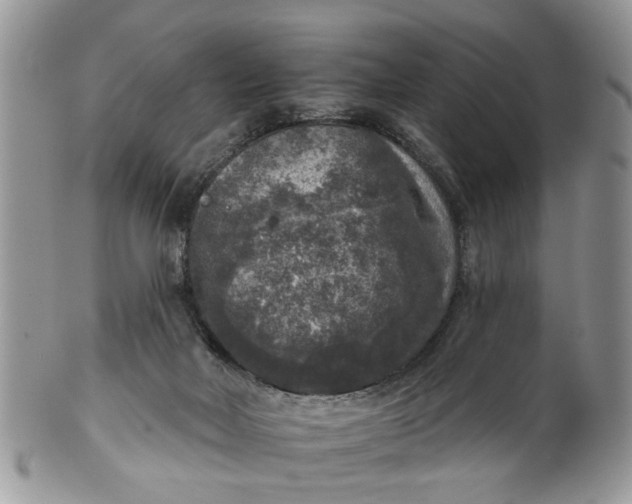 X0000101970026200808011141