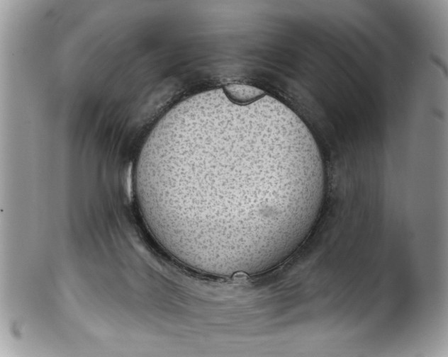 X0000101970028200808011141