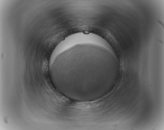 X0000101970029200808011141