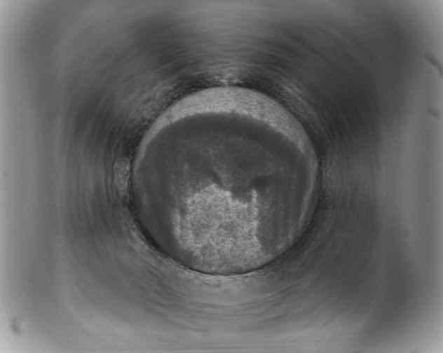 X0000101970030200808011141