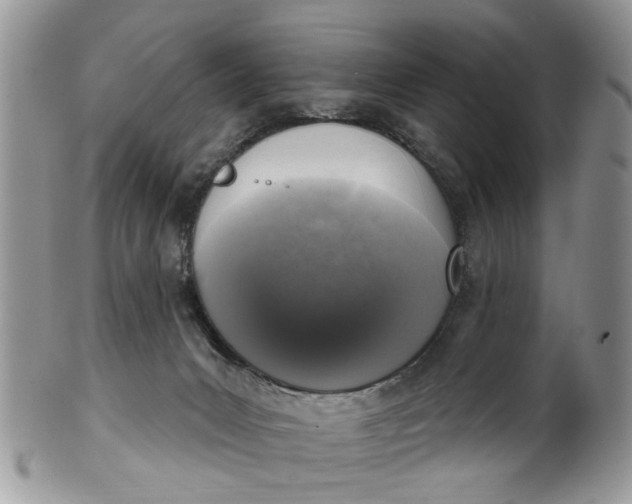 X0000101970031200808011141