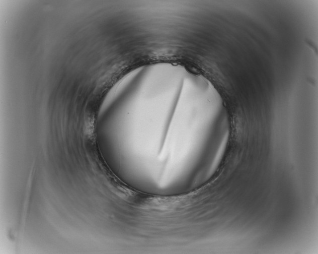 X0000101970033200808011141