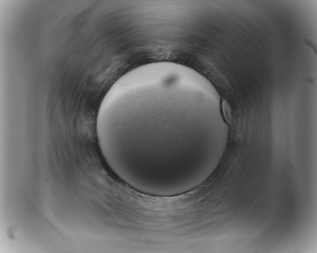 X0000101970035200808011141