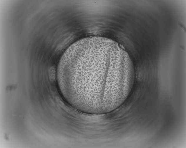 X0000101970036200808011141