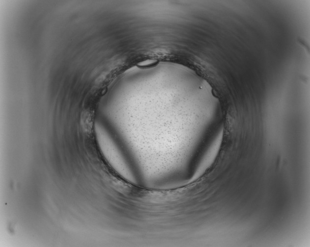 X0000101970037200808011141