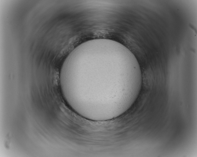 X0000101970038200808011141