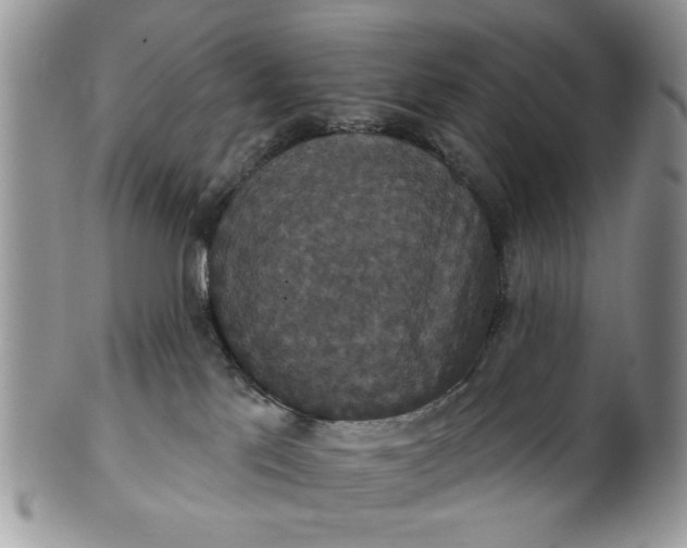 X0000101970041200808011141