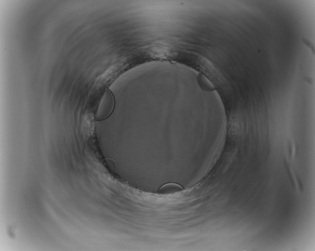 X0000101970043200808011141