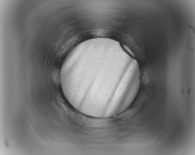 X0000101970044200808011141
