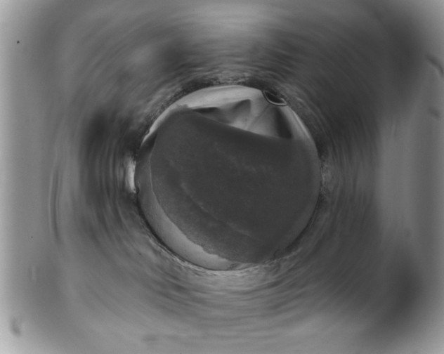 X0000101970046200808011141