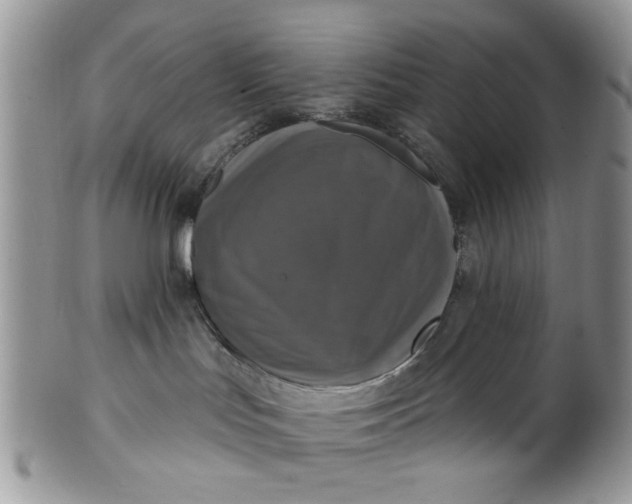 X0000101970047200808011140