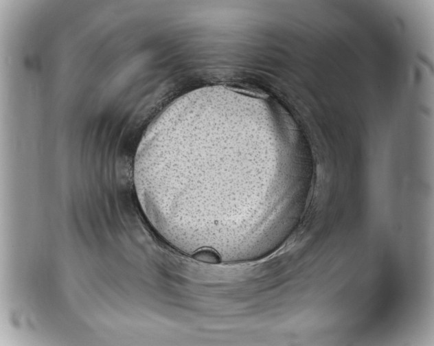 X0000101970048200808011140