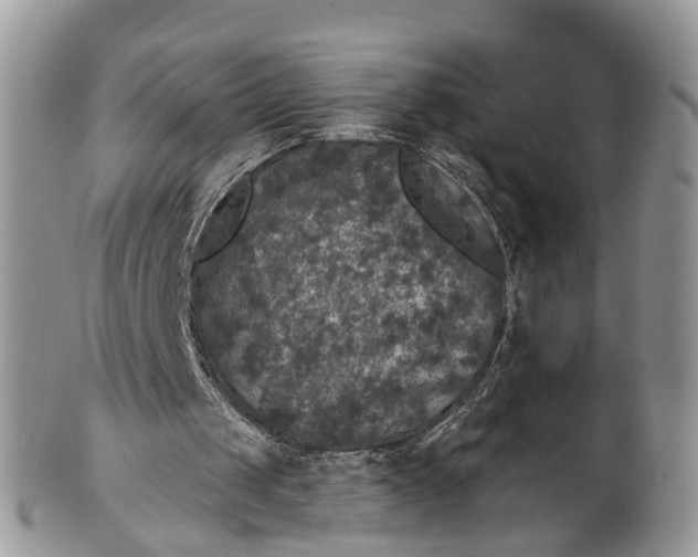 X0000101970049200808011140