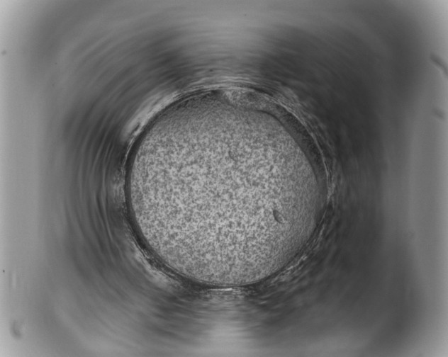 X0000101970050200808011140