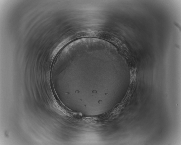 X0000101970051200808011140