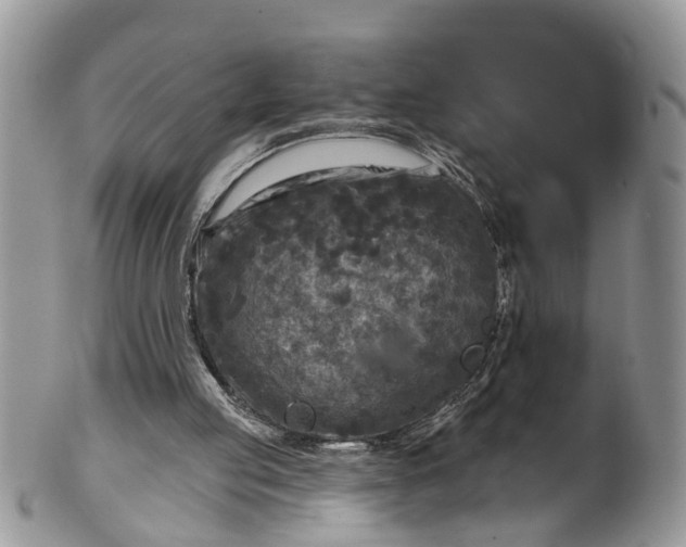 X0000101970053200808011140