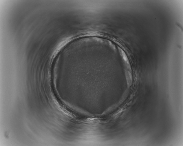 X0000101970055200808011140