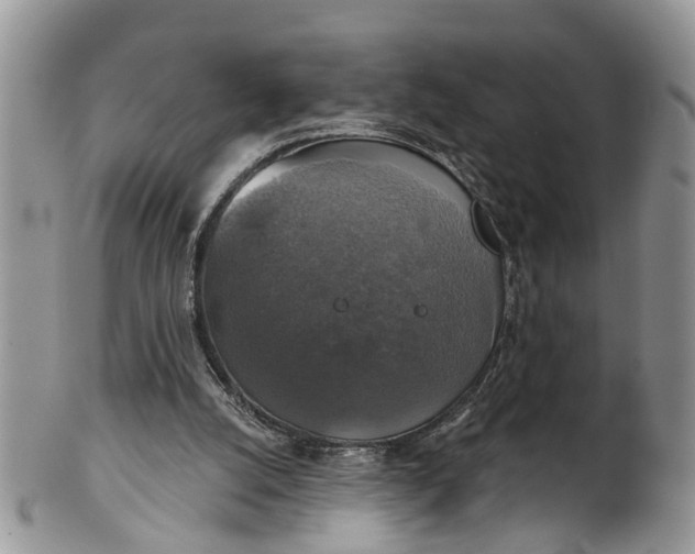 X0000101970056200808011140