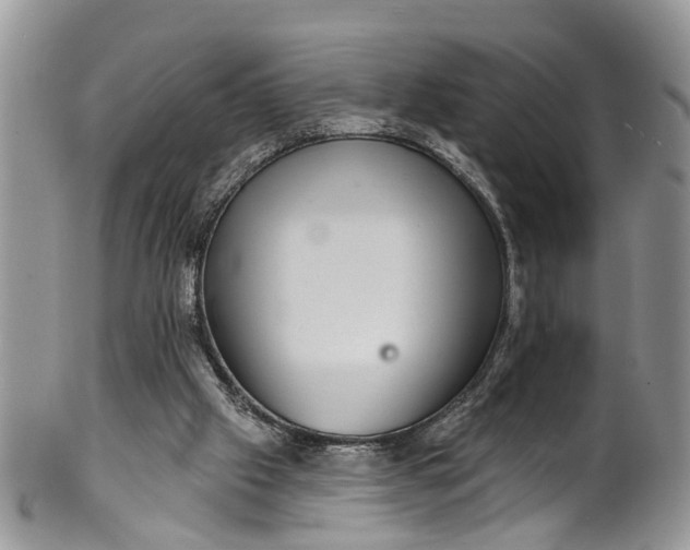 X0000101970057200808011140