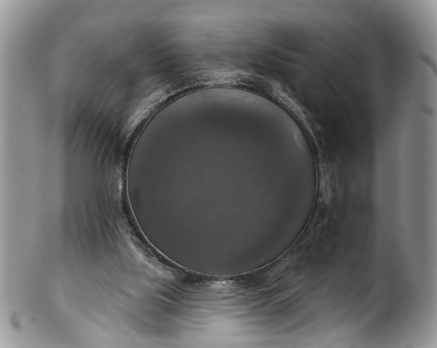 X0000101970059200808011140