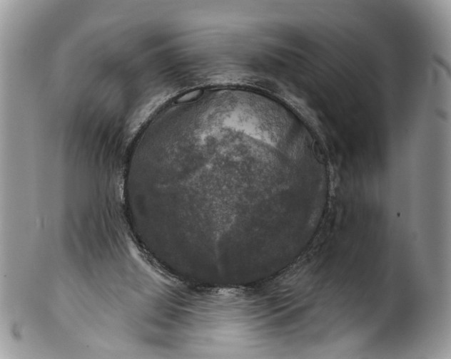 X0000101970060200808011140