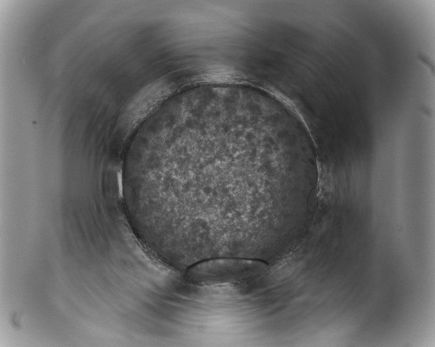 X0000101970061200808011140