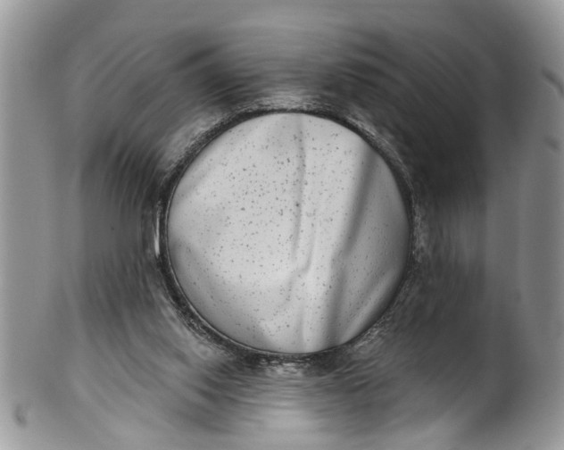 X0000101970062200808011140