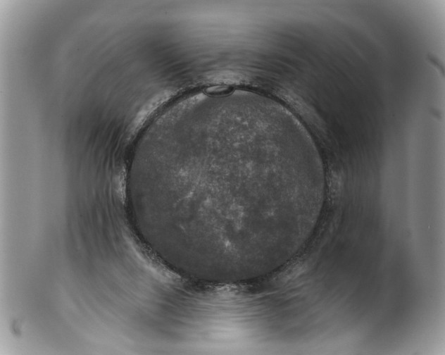 X0000101970064200808011140