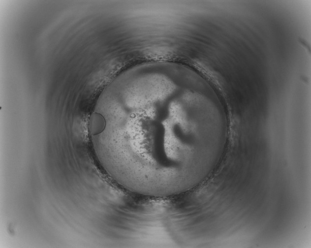 X0000101970065200808011140