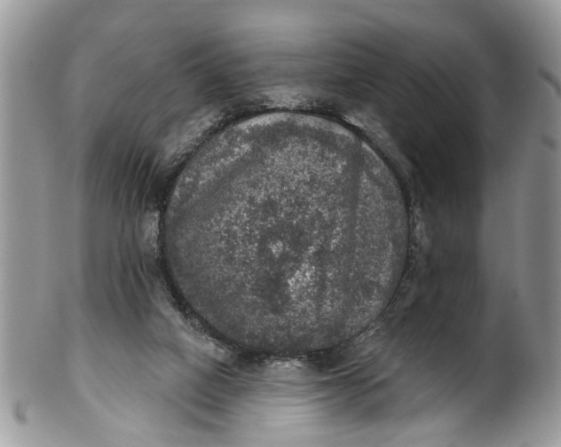 X0000101970066200808011140