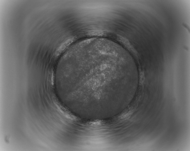 X0000101970068200808011140