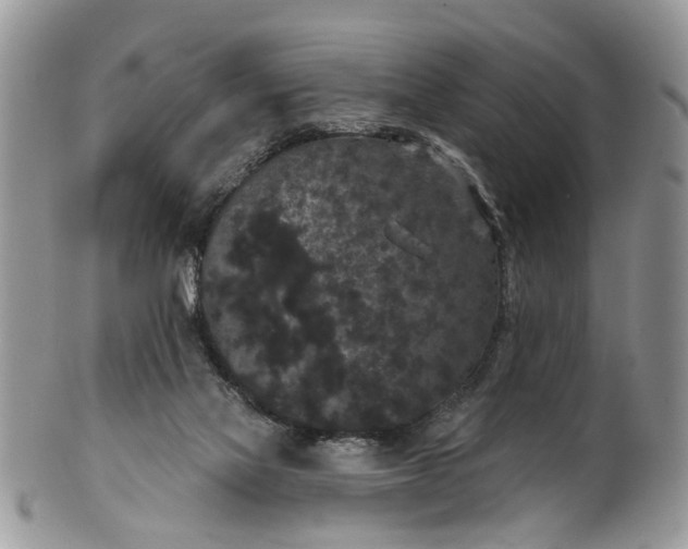 X0000101970069200808011140