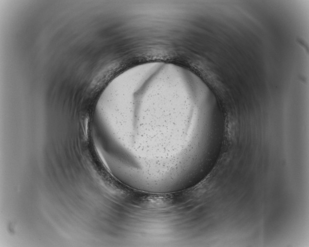X0000101970070200808011140