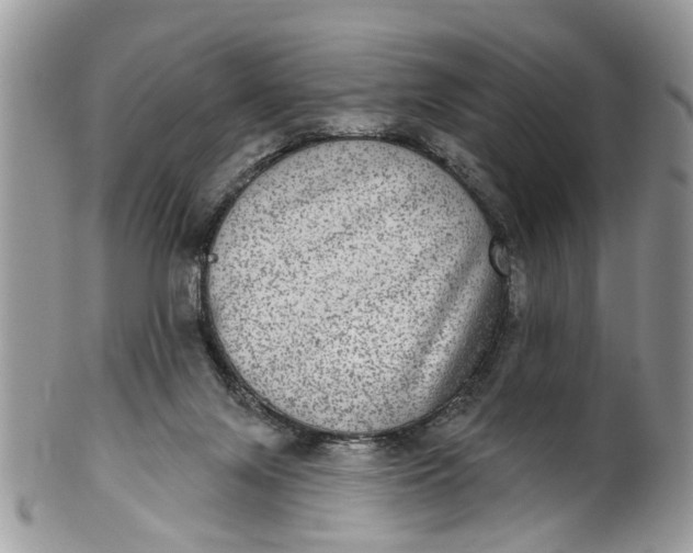 X0000101970071200808011140