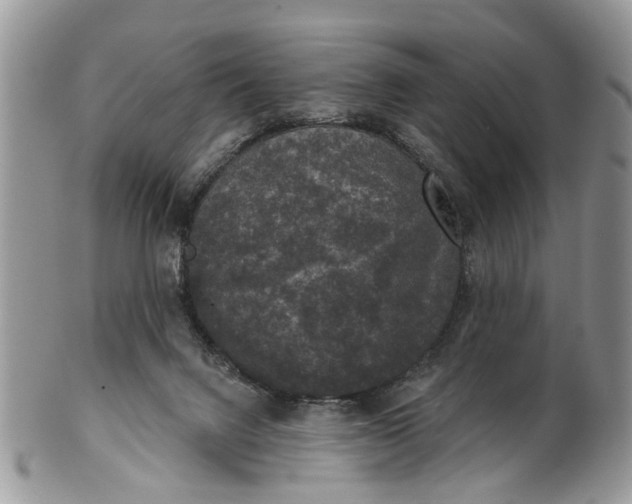 X0000101970072200808011140