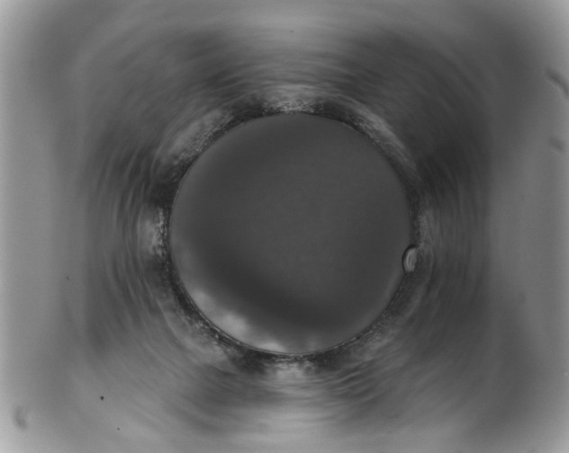 X0000101970073200808011140