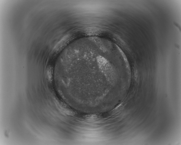 X0000101970074200808011140