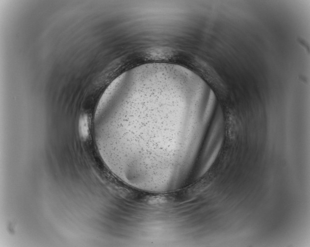 X0000101970075200808011140