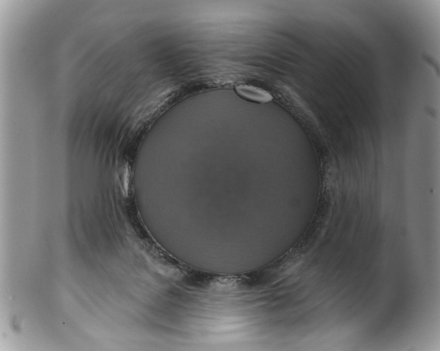 X0000101970076200808011140