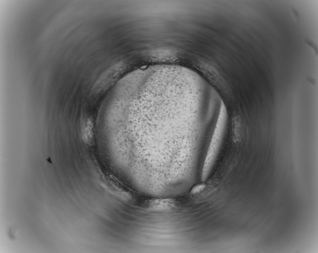X0000101970077200808011140