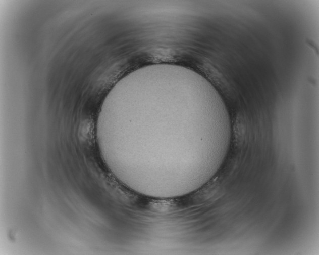 X0000101970079200808011140