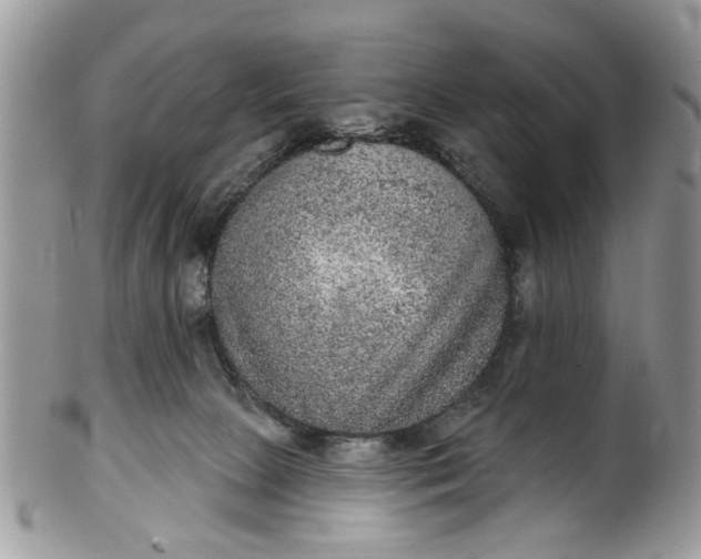 X0000101970081200808011140