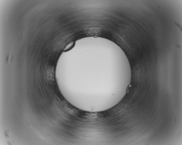 X0000101970083200808011140